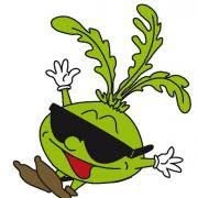 Kohlrabi-Maskottchen des Vereins